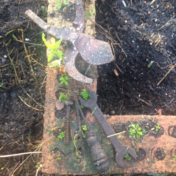 Old tools dug up on the allotment